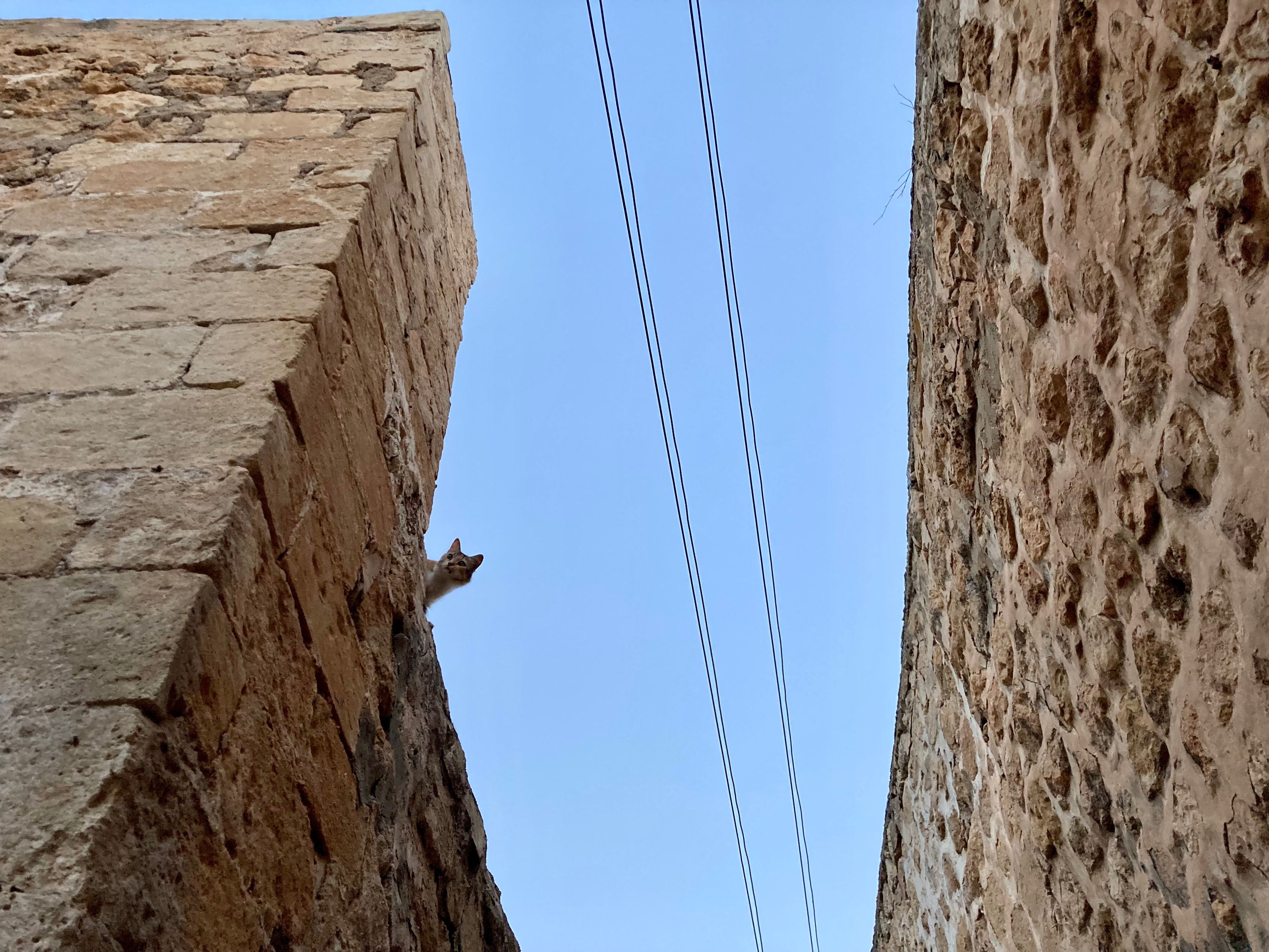 Image in a image block